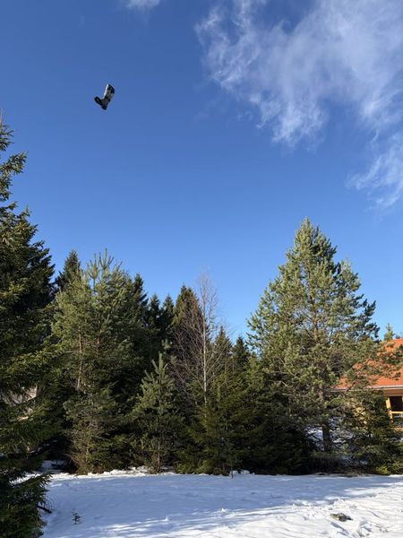 Exkursion des Geographie-Leistungskurses zur Moorstation Kaltenbronn