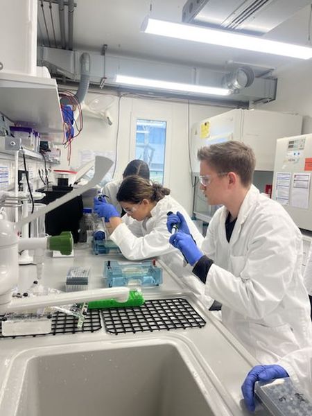 Gelelektrophorese in der Hochschule Pforzheim