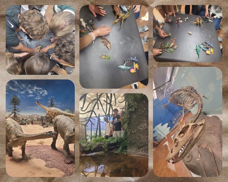 KS1 trifft Urzeit: Fossilien, Fischsaurier und die Frage nach dem Ursprung des Lebens